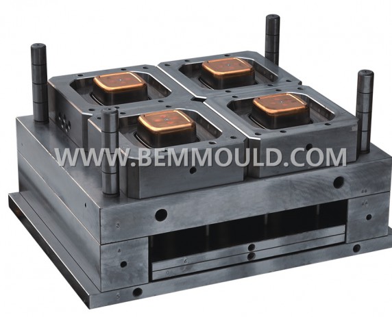 Food Container Mould